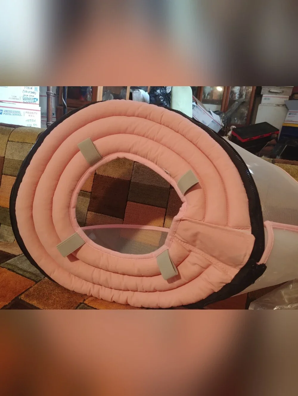 N/A dog pink